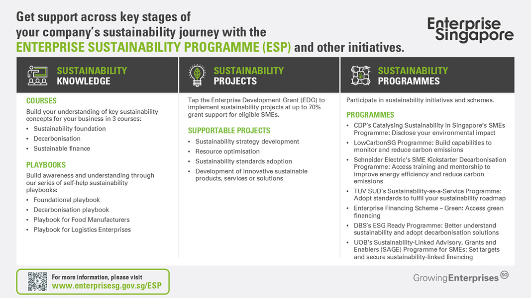 Supporting Singapore Enterprises and Workers in the Transition to a Low-Carbon Economy